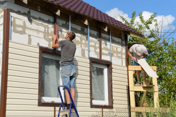 Best Custom Siding Design  in Ama, LA